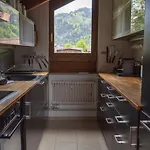 Staubbach Amazing Waterfall View Apartamento *