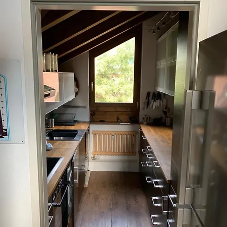 Staubbach Amazing Waterfall View アパート ラウターブルンネン